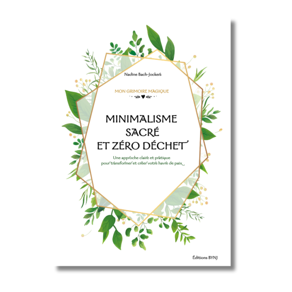 livre minimalisme zéro déchet astuces diy recettes