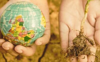 Étudier sa terre pour optimiser son autonomie alimentaire