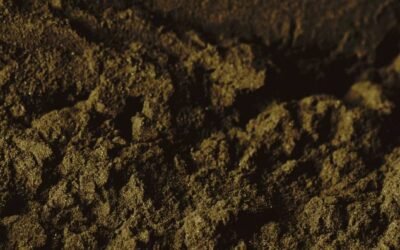 Recette du biochar pour ton potager