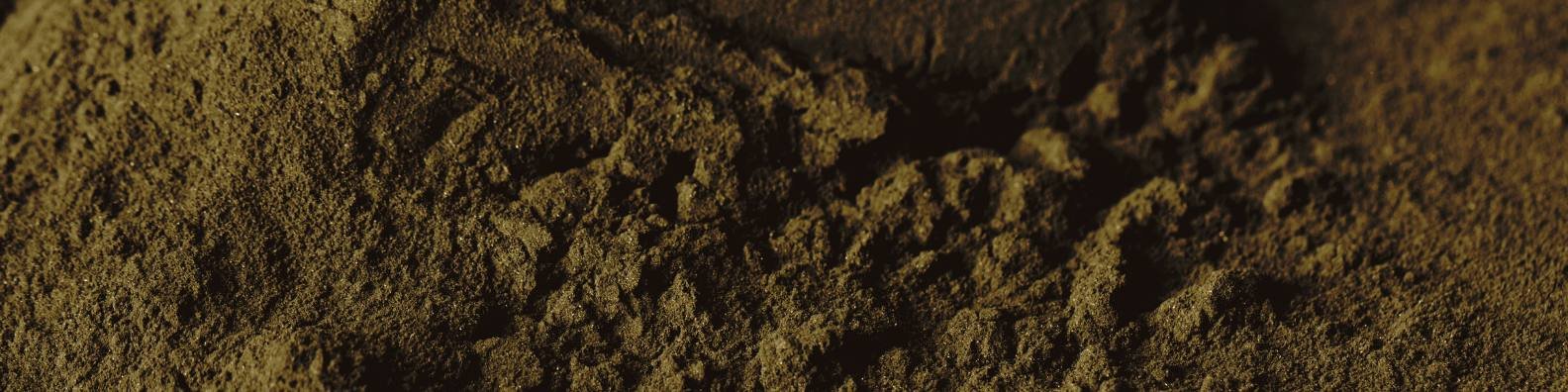 recette biochar fait maison achat