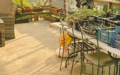 Vers l’autonomie, pas à pas – Épisode 10 : année zéro de la micro-pépinière et grands travaux du printemps