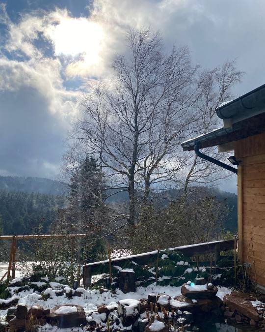 gîte éco nature insolite dabo forêt gîte éco nature insolite dabo forêt